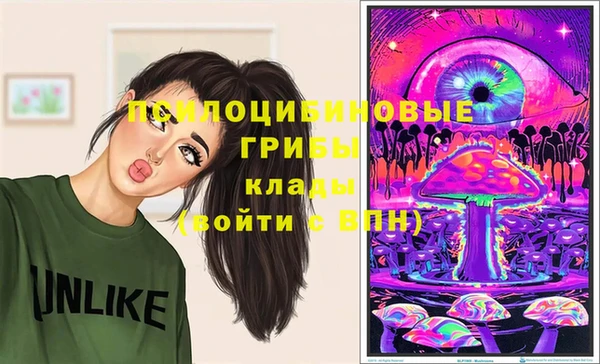сатива Козельск