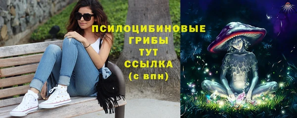 сатива Козельск