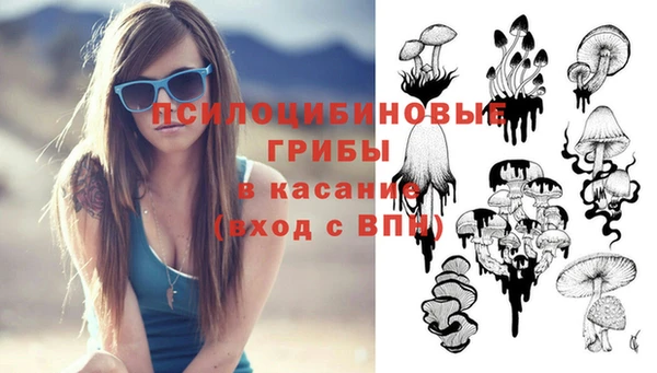 сатива Козельск